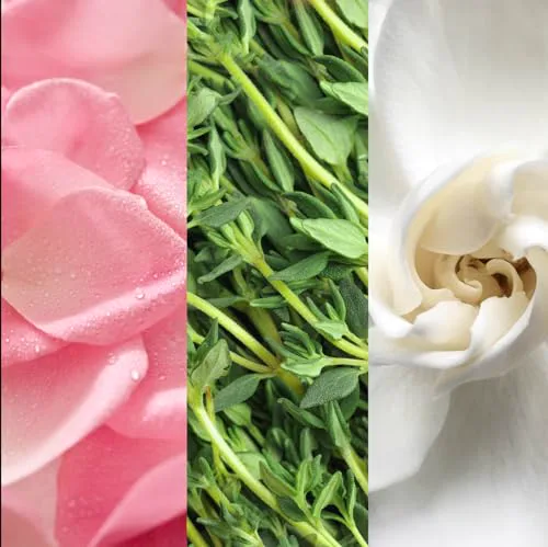 Miniatyr: Detaljbild av Mario Badescu Facial Spray