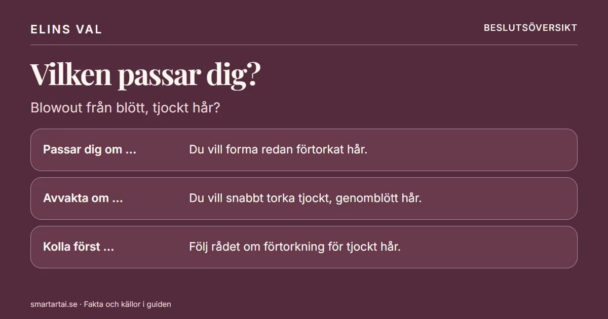 Beslutsöversikt: Fungerar By Lyko Infrared Blowout på tjockt hår från blött?