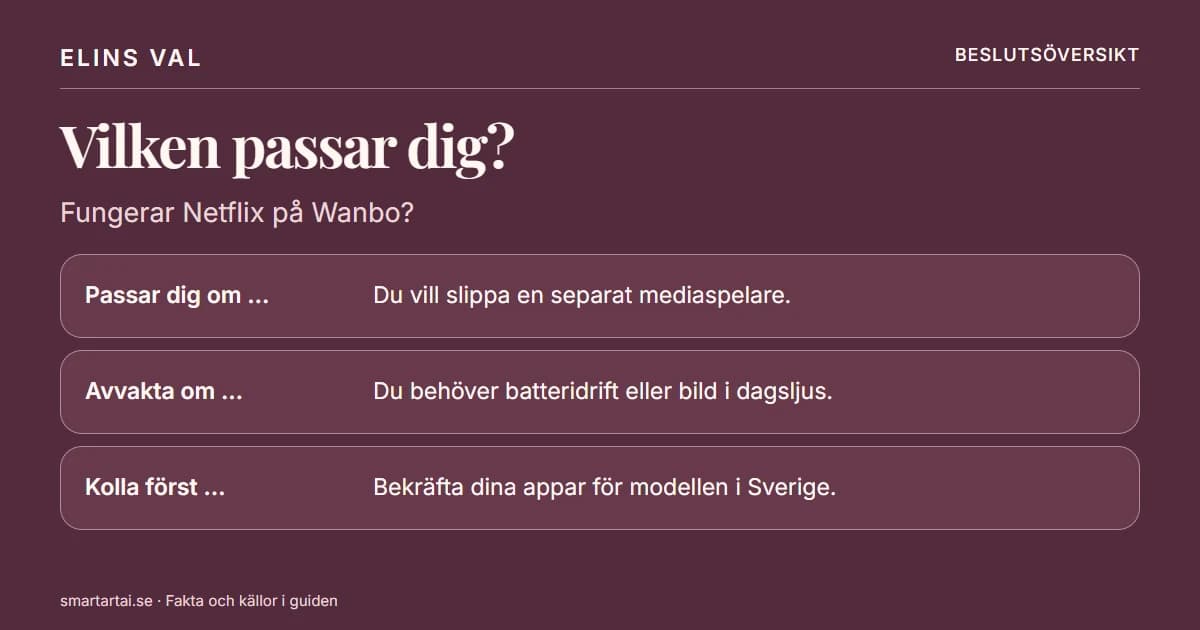 Beslutsöversikt: Fungerar Netflix på Wanbo Cube 2 Pro?